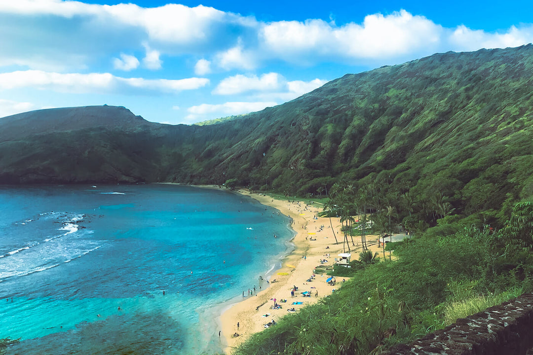 The Perfect Summer Beach Reads