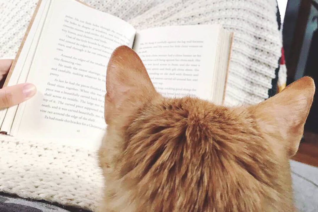The Top 8 Essential Reading Supplies